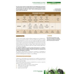 La préparation physique Rugby - Le développement de la Force | Xavier Mondenx | 4Trainer