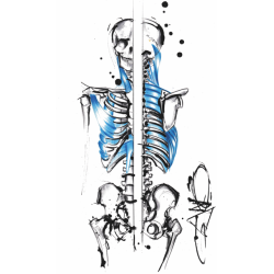 Illustration MUSCLES INSPIRATOIRES by GANO