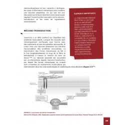 Hypertrophie | Approche pratique et scientifique du développement musculaire