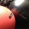Ballon suisse  - Travail de gainage, d'équilibre et de proprioception