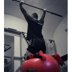 Ballon suisse  - Travail de gainage, d'équilibre et de proprioception