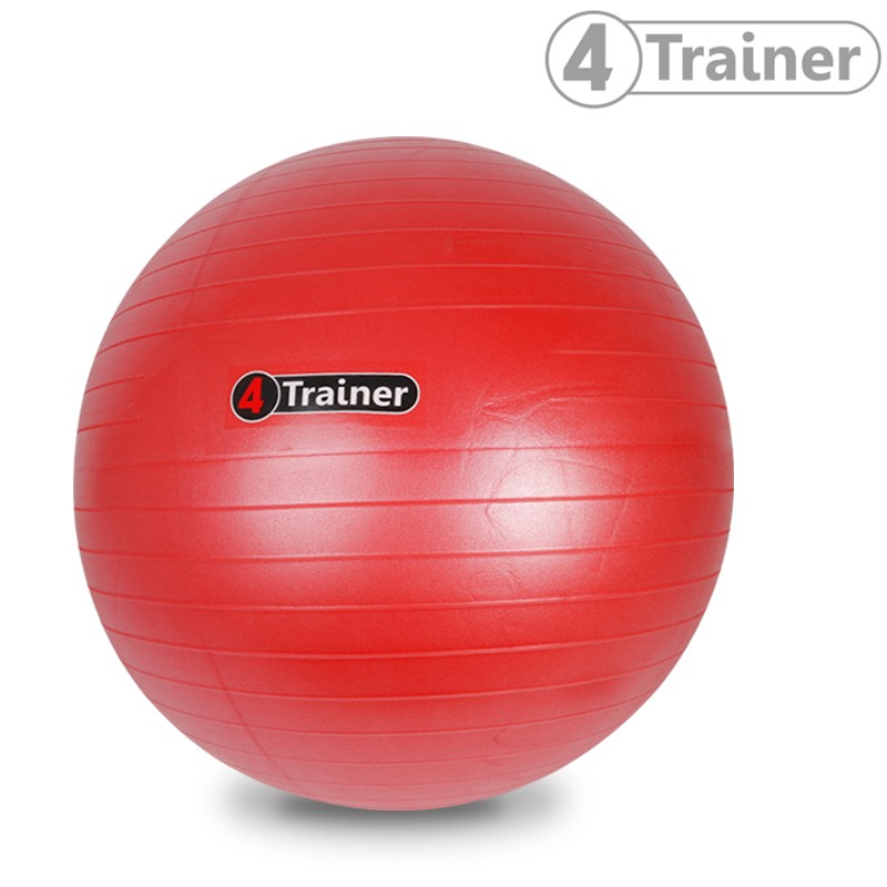 SWISS BALL 4TRAINER