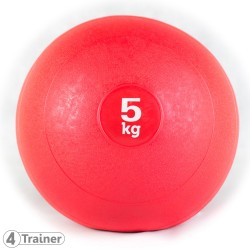 Slam Ball 4Trainer