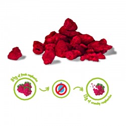 Kamelur framboises lyophilisées BIO - fruits entiers séchés BIO, sans  additifs - dans un emballage biodégradable - 500g : : Epicerie