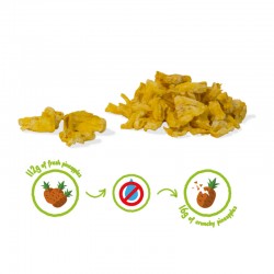 ANANAS CRUNCHY FRUIT BIO - 100% ananas biologiques lyophilisées