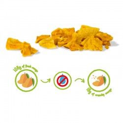 MANGUE CRUNCHY FRUIT BIO - 100% mangues biologiques lyophilisées