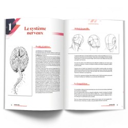 COACHING ULTIME - Les Clés de l'Entraînement Individualisé - 4Trainer Editions